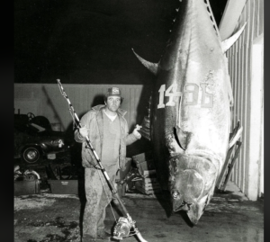An angler with a giant Atlantic bluefin tuna, one of the largest bluefin caught in the world